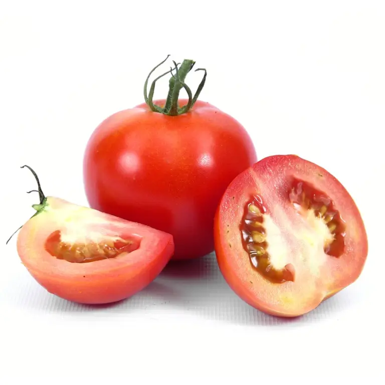 image-1549559253496